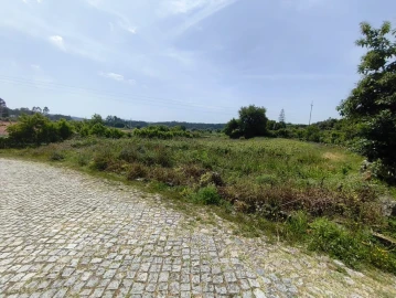 Terreno para Venda em Palmeira de Faro e Curvos