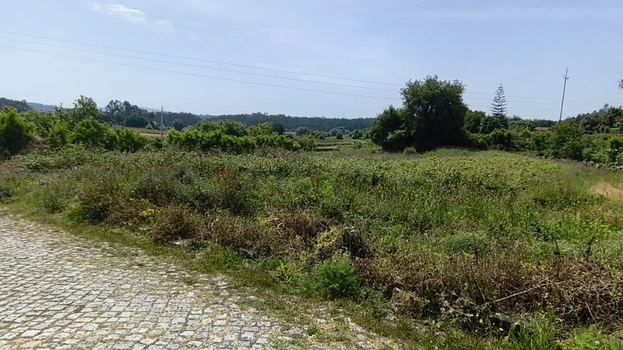 Terreno para Venda em Palmeira de Faro e Curvos