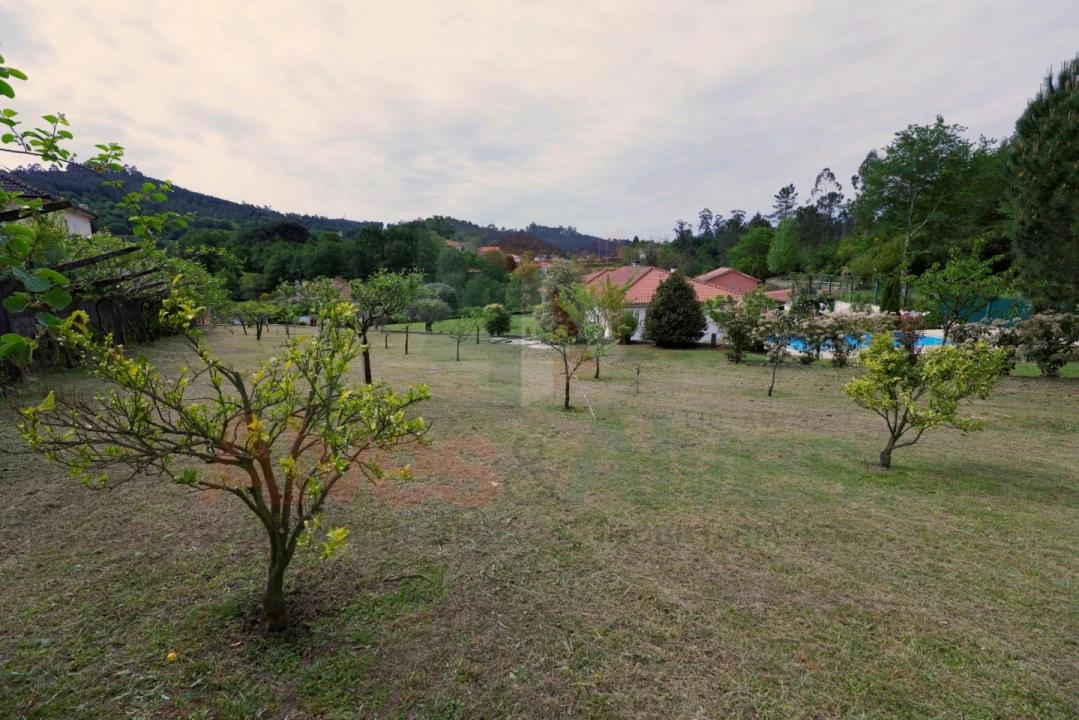 Quinta T5 para Venda em Parada Foto 12