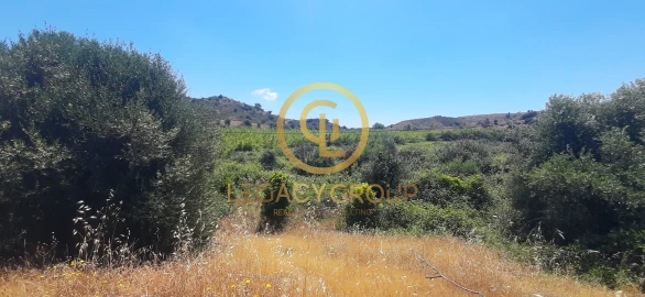Terreno para Venda em Odeleite