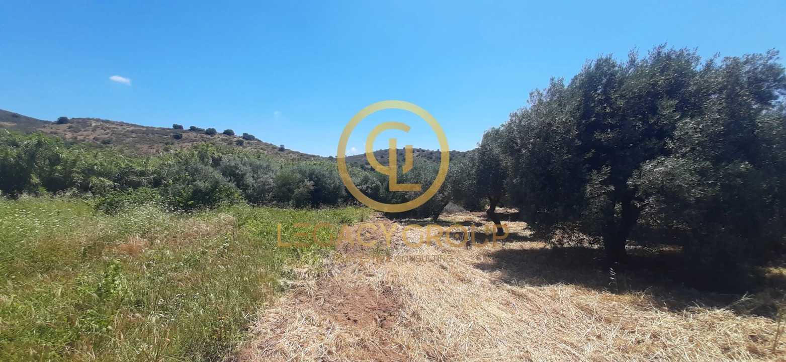 Terreno para Venda em Odeleite Foto 5