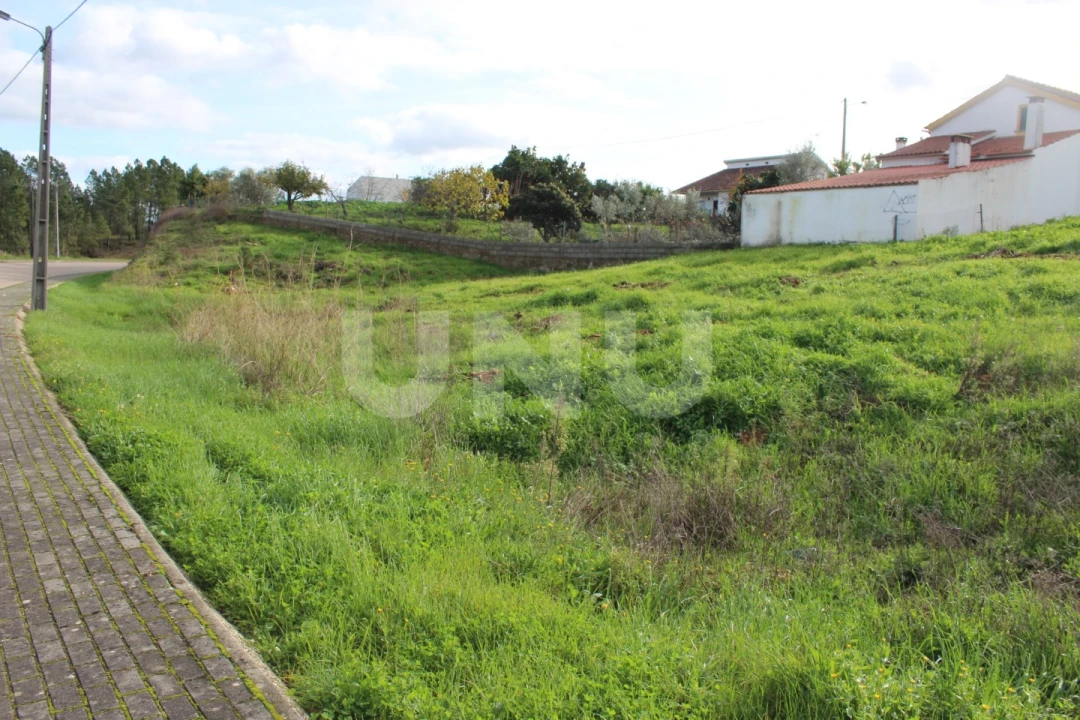 Terreno Agricola ou Rústico para Venda em Proença-A-Nova e Peral Foto 1