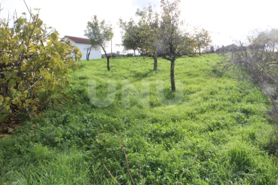 Terreno Agricola ou Rústico para Venda em Proença-A-Nova e Peral