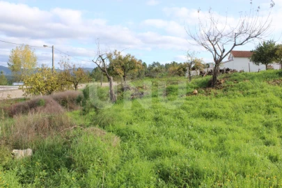 Terreno Agricola ou Rústico para Venda em Proença-A-Nova e Peral