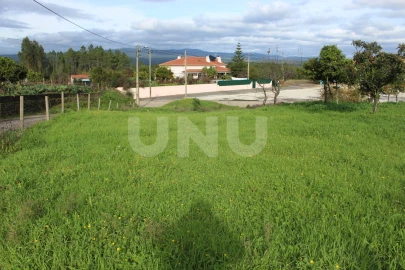 Terreno Agricola ou Rústico para Venda em Proença-A-Nova e Peral