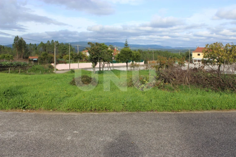 Terreno Agricola ou Rústico para Venda em Proença-A-Nova e Peral Foto 11