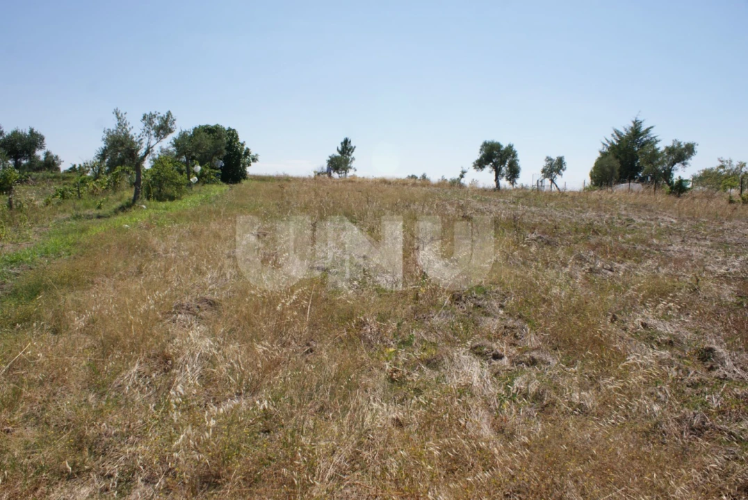 Terreno Agricola ou Rústico para Venda em Ladoeiro Foto 17