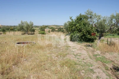 Terreno Agricola ou Rústico para Venda em Ladoeiro
