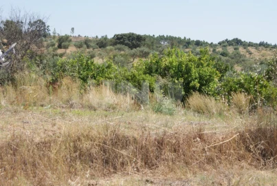 Terreno Agricola ou Rústico para Venda em Ladoeiro