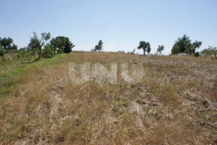 Terreno Agricola ou Rústico para Venda em Ladoeiro Foto 17