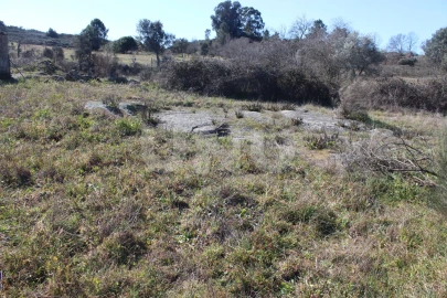 Quinta T1 para Venda em Aldeia do Bispo, Águas e Aldeia de João Pires