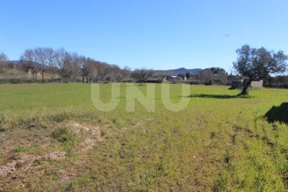 Quinta T1 para Venda em Aldeia do Bispo, Águas e Aldeia de João Pires