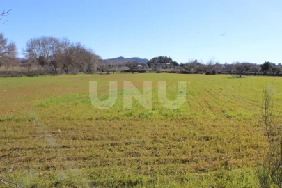 Quinta T1 para Venda em Aldeia do Bispo, Águas e Aldeia de João Pires