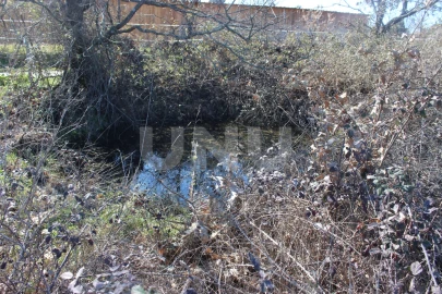 Quinta T1 para Venda em Aldeia do Bispo, Águas e Aldeia de João Pires
