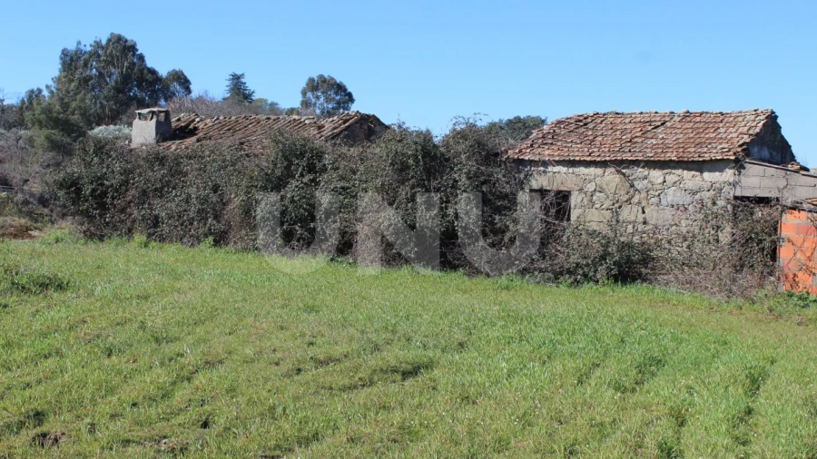 Quinta T1 para Venda em Aldeia do Bispo, Águas e Aldeia de João Pires