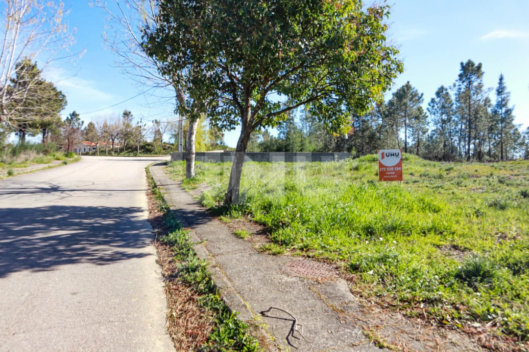 Terreno para Venda em São Vicente da Beira Foto 3