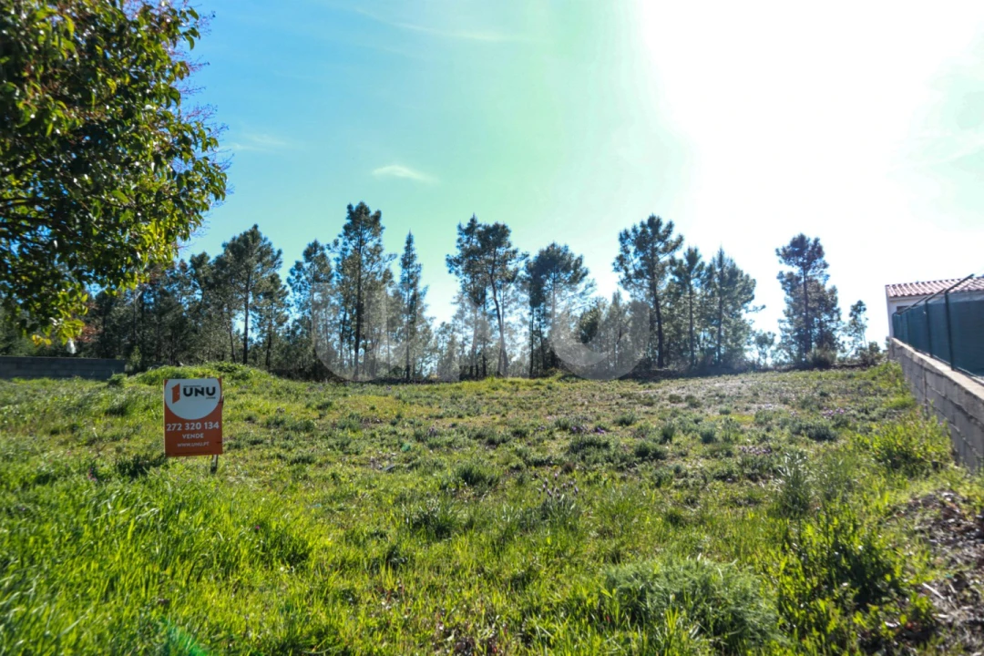 Terreno para Venda em São Vicente da Beira Foto 2