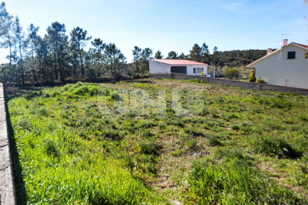Terreno para Venda em São Vicente da Beira Foto 1
