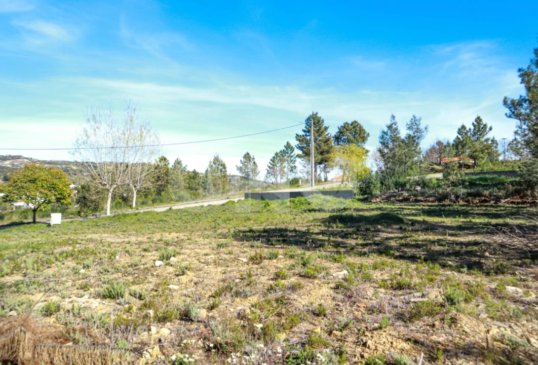 Terreno para Venda em São Vicente da Beira Foto 4