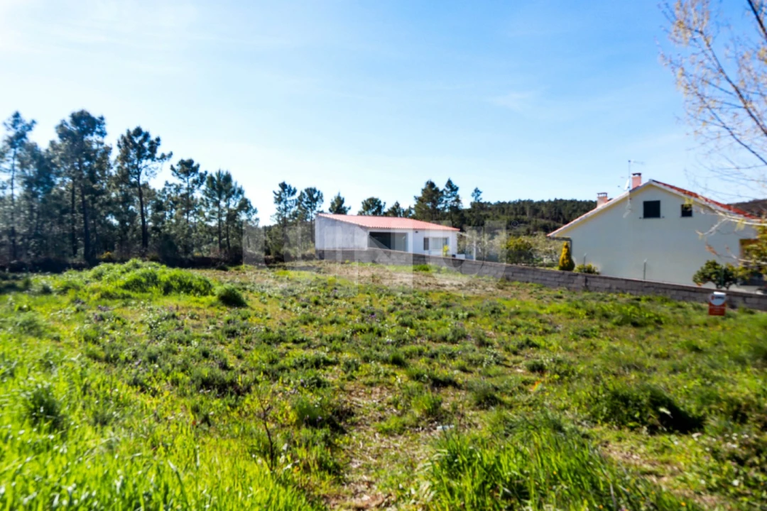 Terreno para Venda em São Vicente da Beira Foto 5
