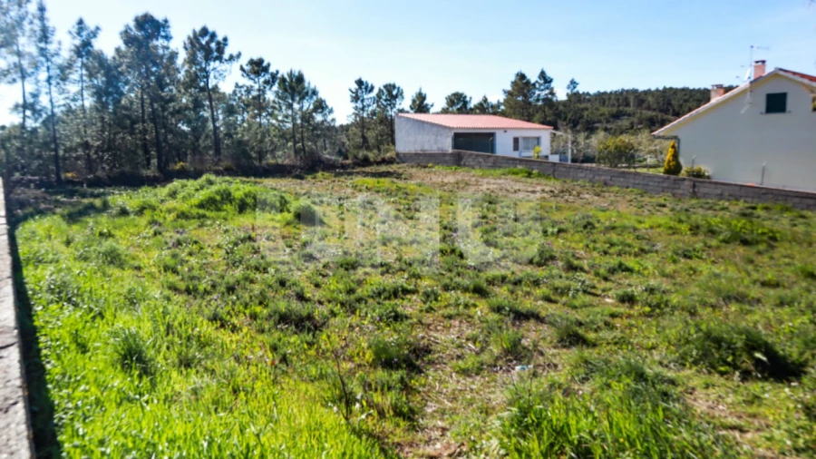 Terreno para Venda em São Vicente da Beira