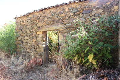 Terreno para Venda em Penha Garcia