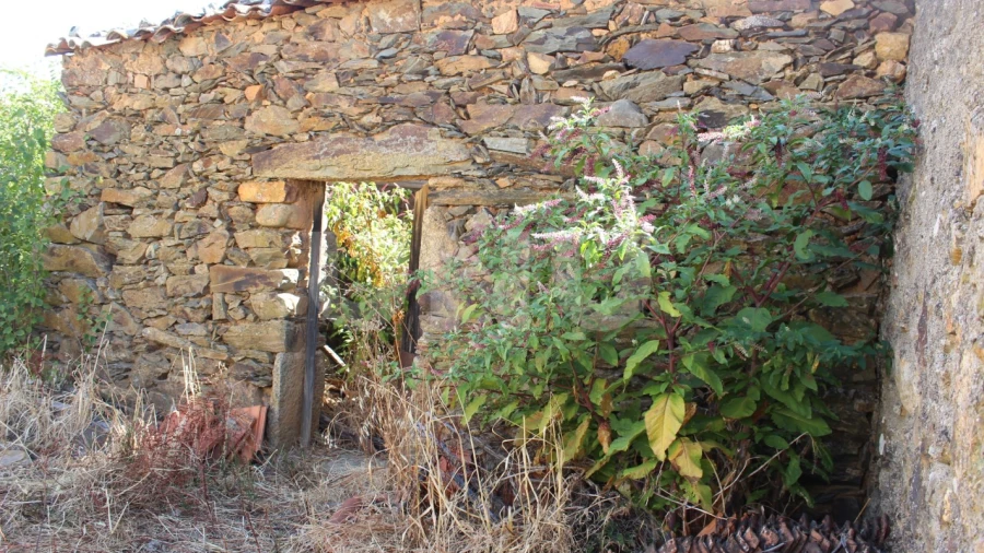 Terreno para Venda em Penha Garcia