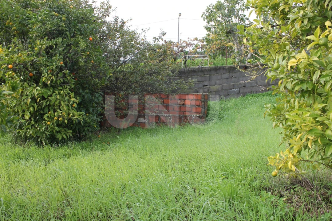 Terreno para Venda em Castelo Branco Foto 2