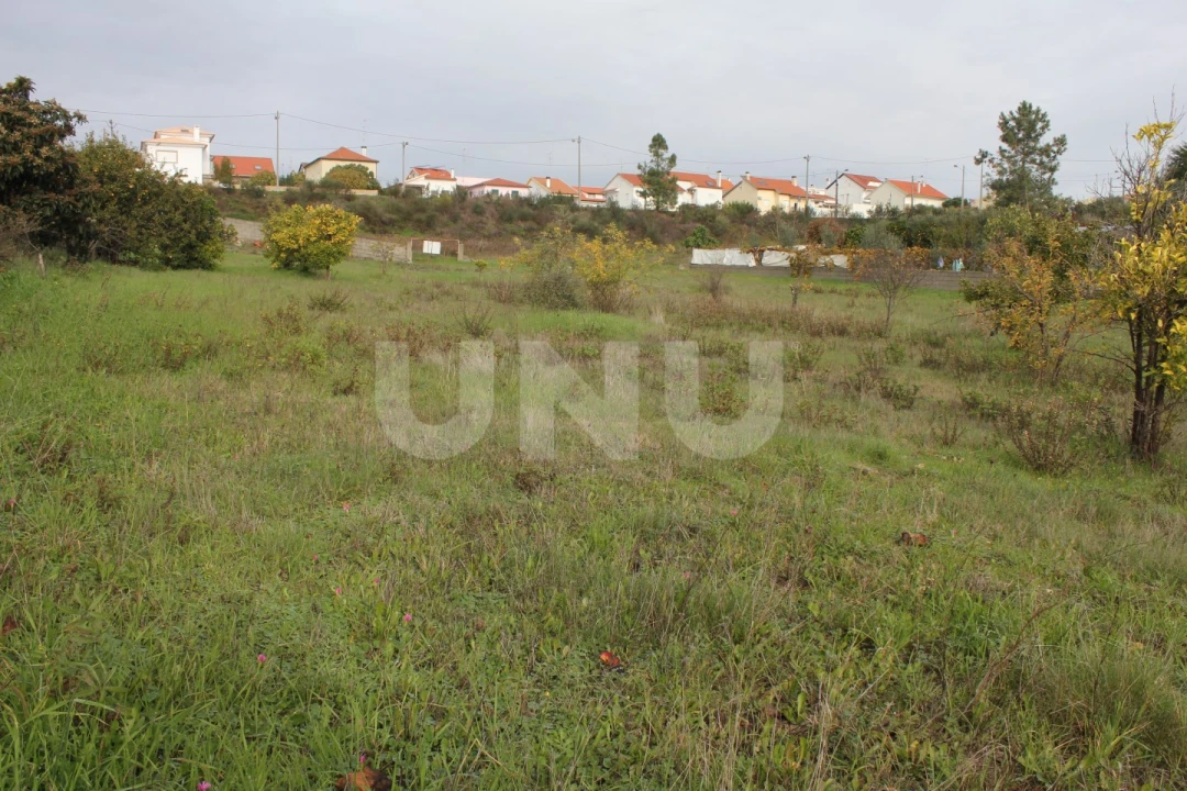 Terreno para Venda em Castelo Branco Foto 6