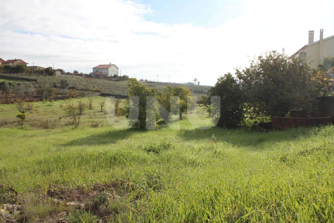 Terreno para Venda em Castelo Branco Foto 5