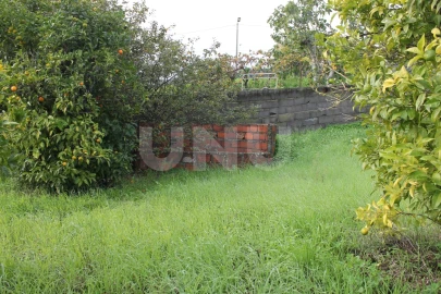 Terreno para Venda em Castelo Branco