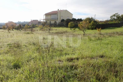 Terreno para Venda em Castelo Branco