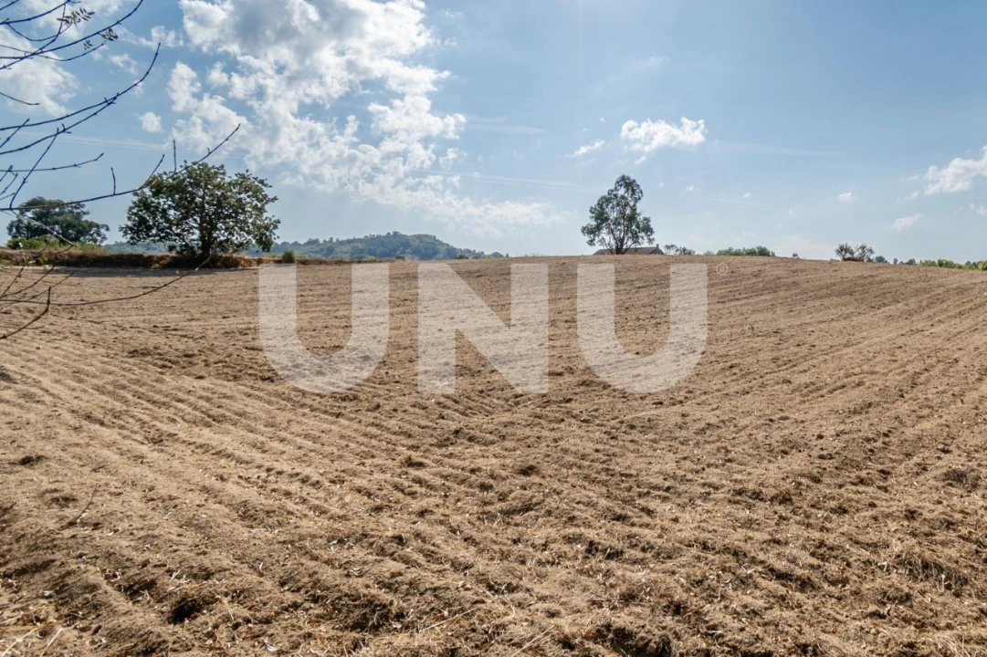Terreno Agricola ou Rústico para Venda em Caria Foto 4