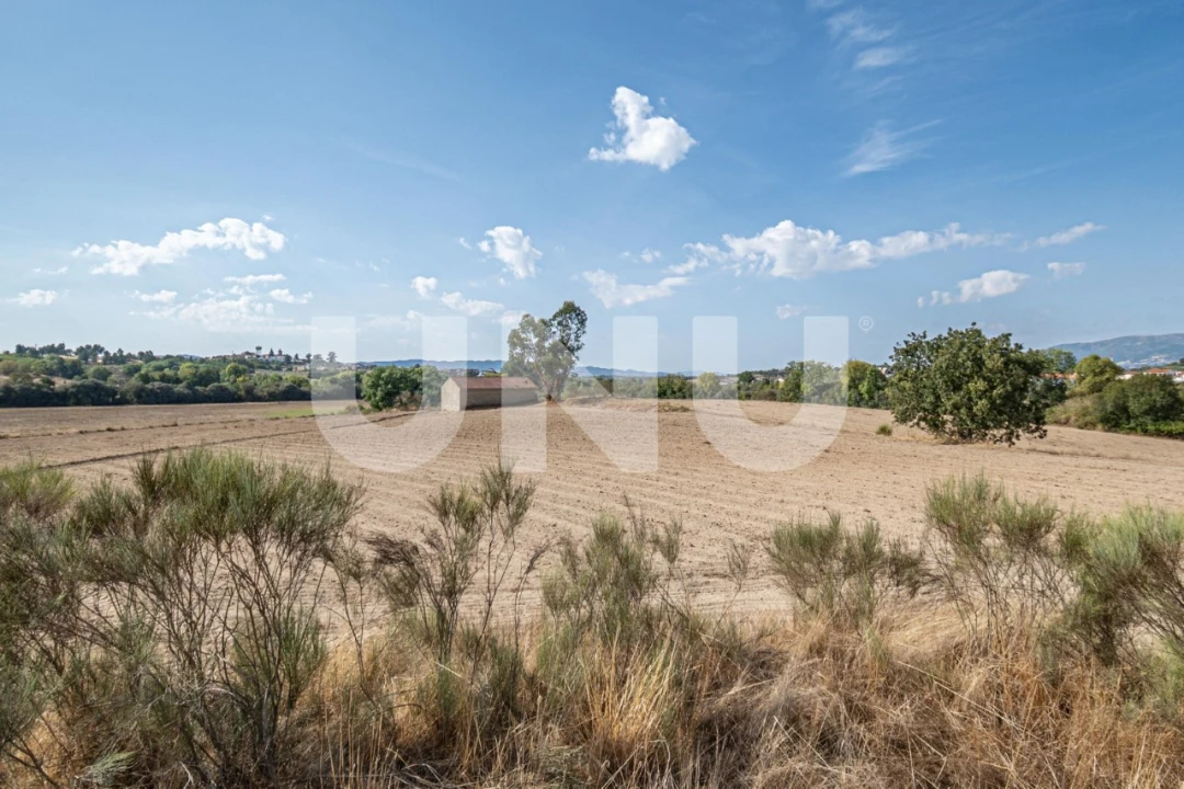 Terreno Agricola ou Rústico para Venda em Caria Foto 5
