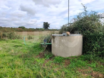 Terreno Agricola ou Rústico para Venda em Caria