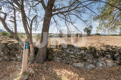 Terreno Agricola ou Rústico para Venda em Caria