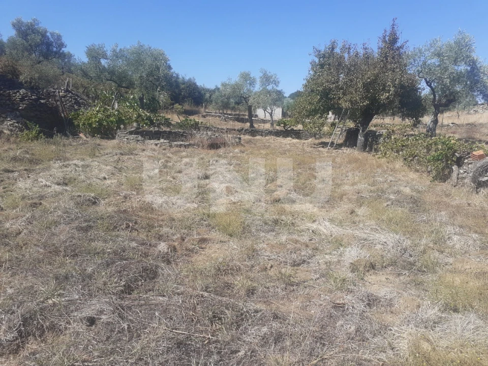 Terreno Agricola ou Rústico para Venda em Escalos de Baixo e Mata Foto 1