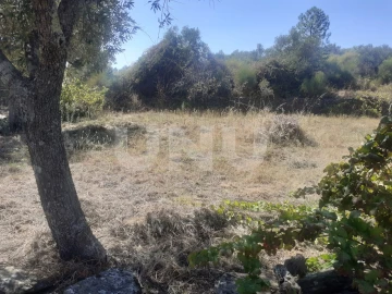 Terreno Agricola ou Rústico para Venda em Escalos de Baixo e Mata