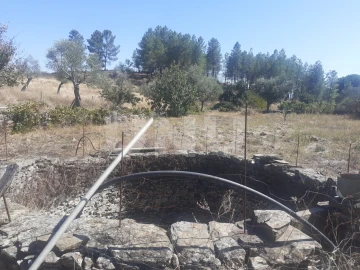 Terreno Agricola ou Rústico para Venda em Escalos de Baixo e Mata
