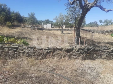 Terreno Agricola ou Rústico para Venda em Escalos de Baixo e Mata