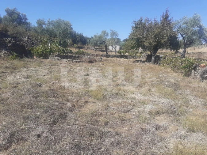 Terreno Agricola ou Rústico para Venda em Escalos de Baixo e Mata