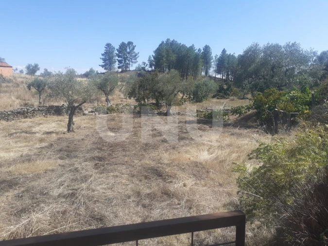 Terreno Agricola ou Rústico para Venda em Escalos de Baixo e Mata Foto 3