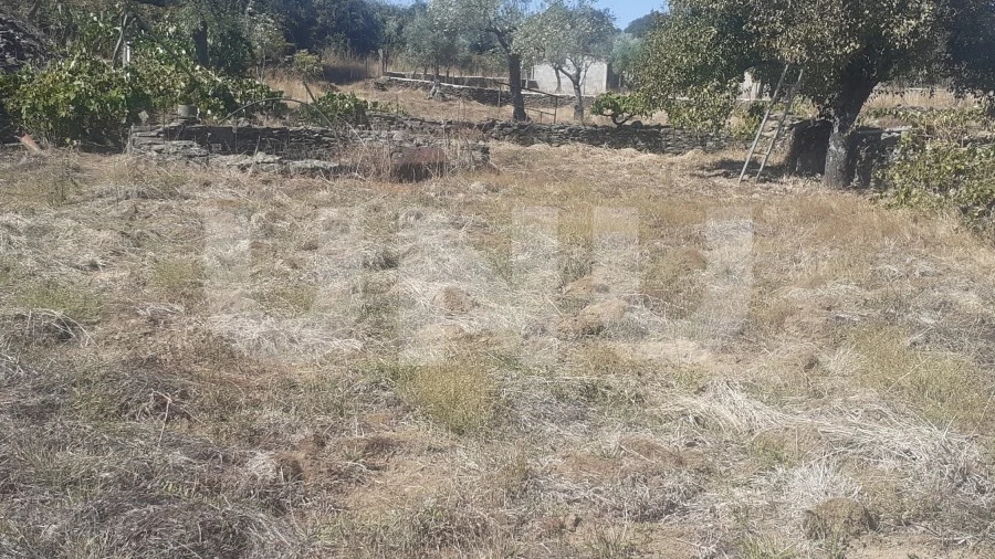 Terreno Agricola ou Rústico para Venda em Escalos de Baixo e Mata