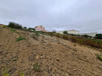 Terreno para Venda em Ventosa