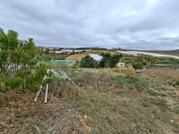 Terreno para Venda em Ventosa