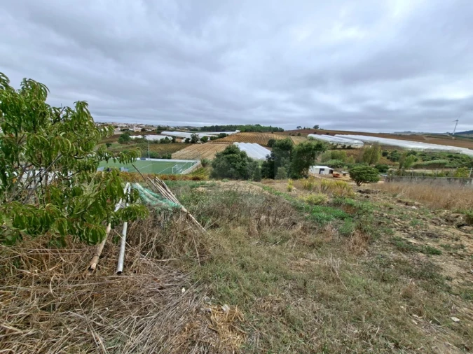 Terreno para Venda em Ventosa Foto 3