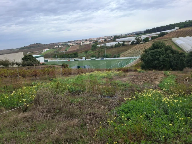 Terreno para Venda em Ventosa Foto 5