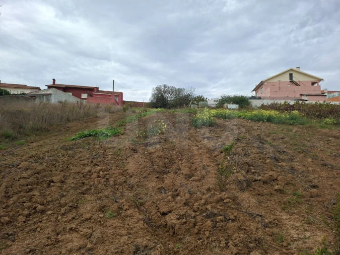 Terreno para Venda em Ventosa Foto 7