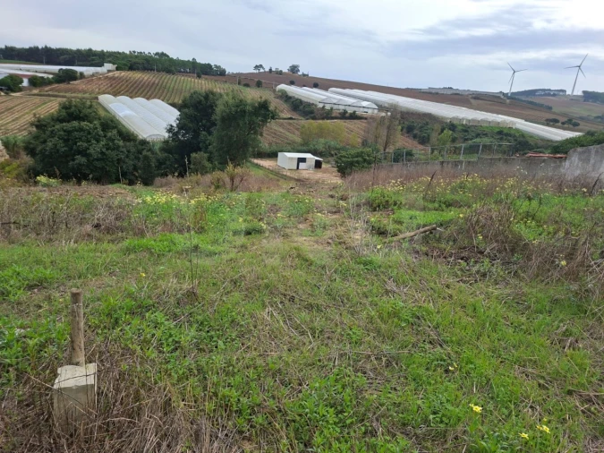 Terreno para Venda em Ventosa Foto 8