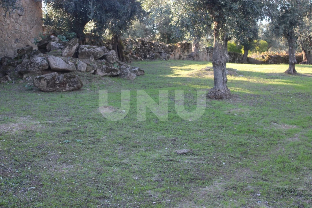 Terreno para Venda em Escalos de Cima e Lousa Foto 4